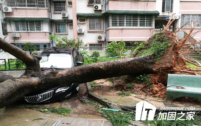 臺風“山竹”對建筑物造成多大的影響？