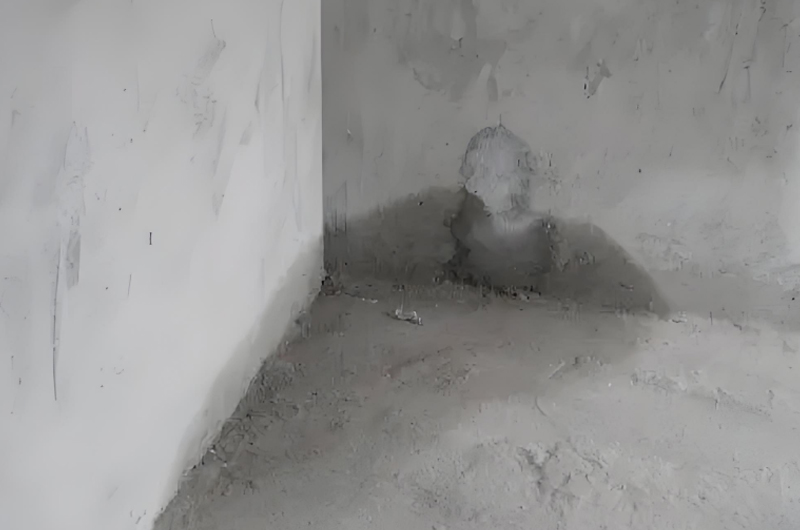 房屋漏水怎樣修補